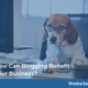 How Can Blogging Benefit Your Business?