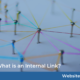 What is an Internal Link